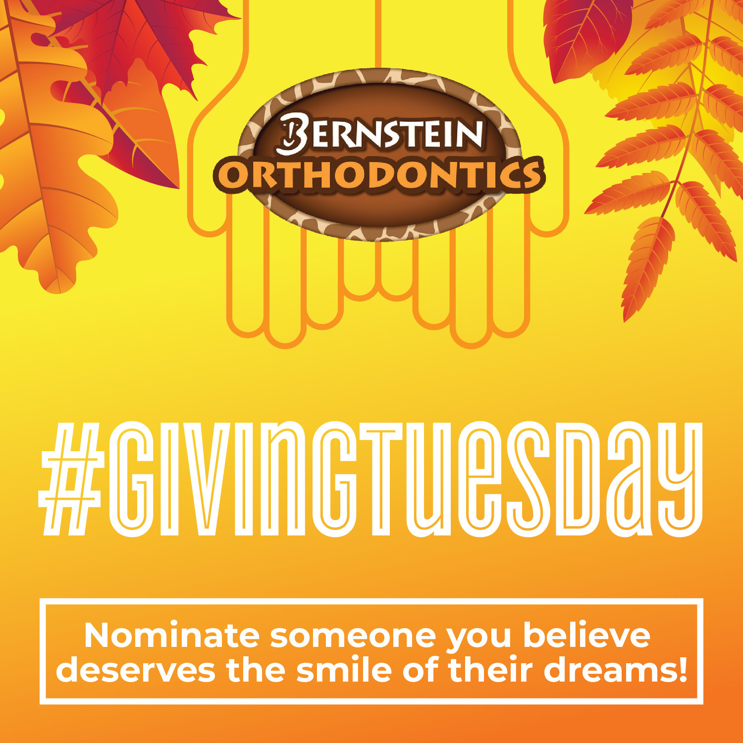 2022-10-27_Bernstein_Giving Tuesday Campaign_CC