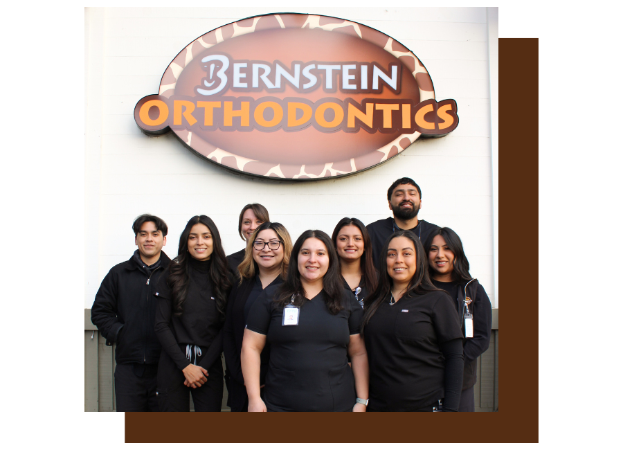 Bernstein website picture 1 Bernstein website picture 1